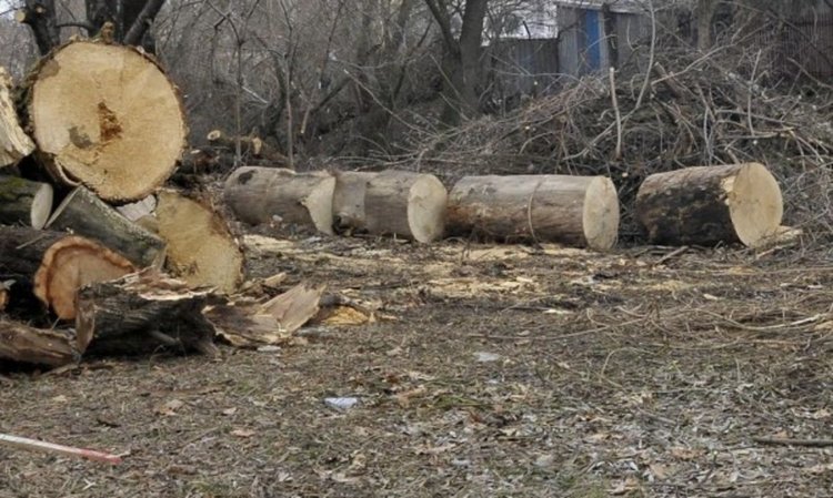 По 3200 бедни искат помощи за топло на ден