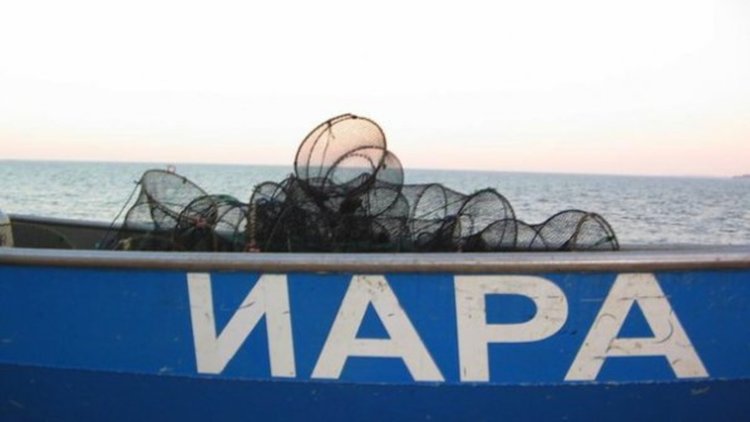 Арестуваха шефа на ИАРА - Рибната агенция