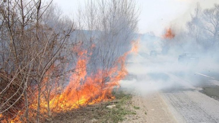 Горяха сухи треви в землището на Мургово