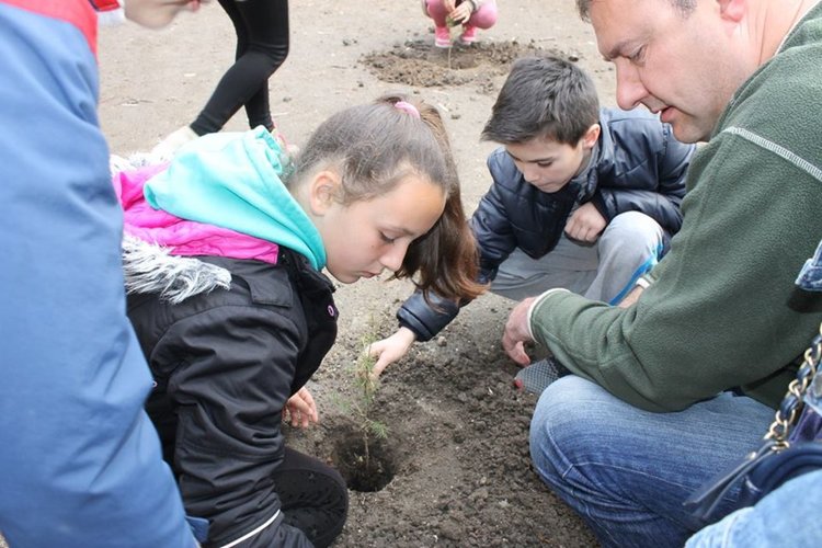 В Седмица на гората йовковци залесяват