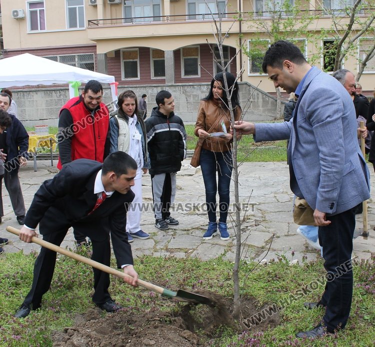 Засадиха 12 дръвчета в парк на приятелството в Димитровград