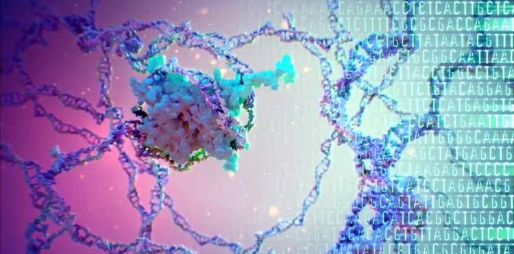 Генното редактиране CRISPR води до неочаквани мутации в живите организми