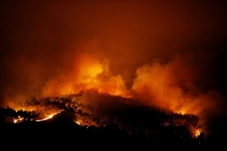 Заради жегите: 24 жертви на горски пожар в Португалия  