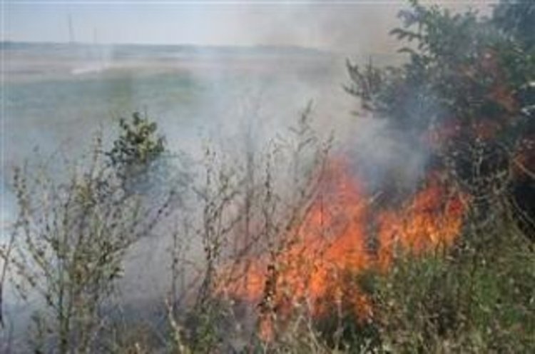 Горяха сухи треви във “Веселчане“
