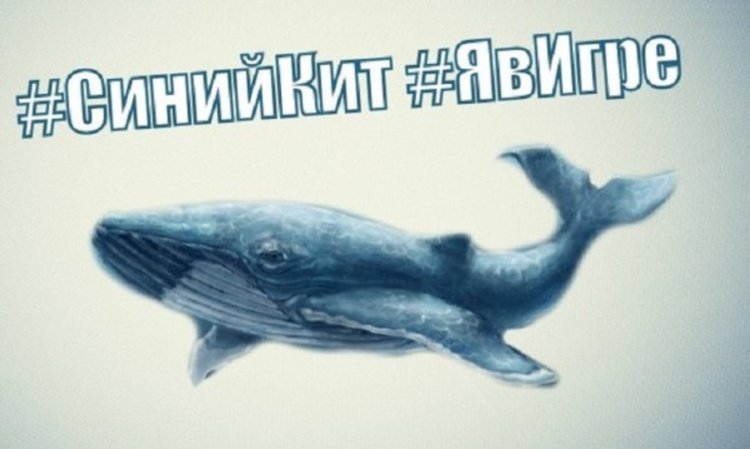 Българче в САЩ се самоуби заради играта "Син кит"  
