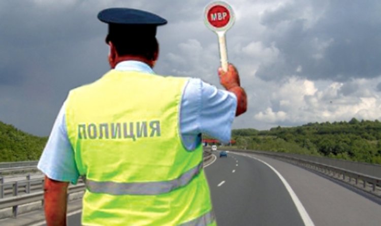 Шофьор вози домашно животно без документ