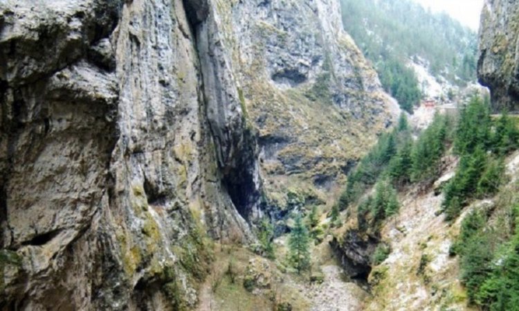 13-и ден Крис го няма: Издирването приключва  