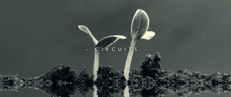 Deep House посланието на Klangkarussell - Circuits (видео)