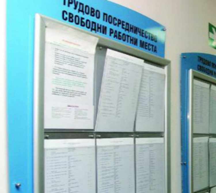 На борсата вече не се търсят висшисти 