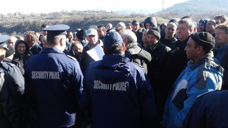 Отчаяние сред фермерите в региона:  400 жалби и 200 заклани крави за седмица