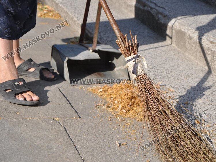 От 50 до 500 лв. глоба за бране на липа в Димитровград
