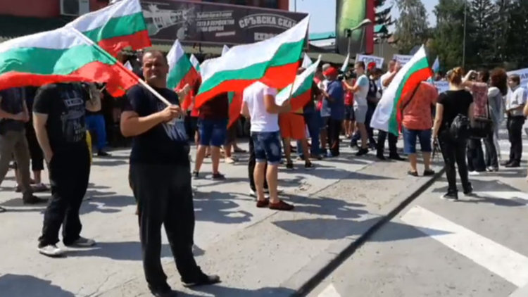 Умъртвяват 1 300 овце и кози в Ямболско при засилена полицейска охрана