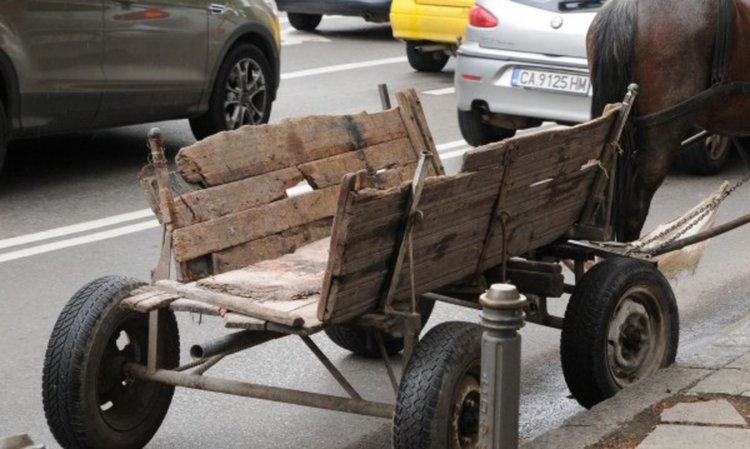 Каруцар предизвика катастрофа в Кърджали