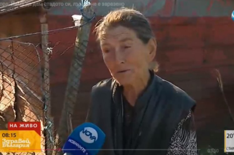 Баба Дора: Няма да дам стадото си, лъжат, че е заразено! Никой не е взимал втора проба