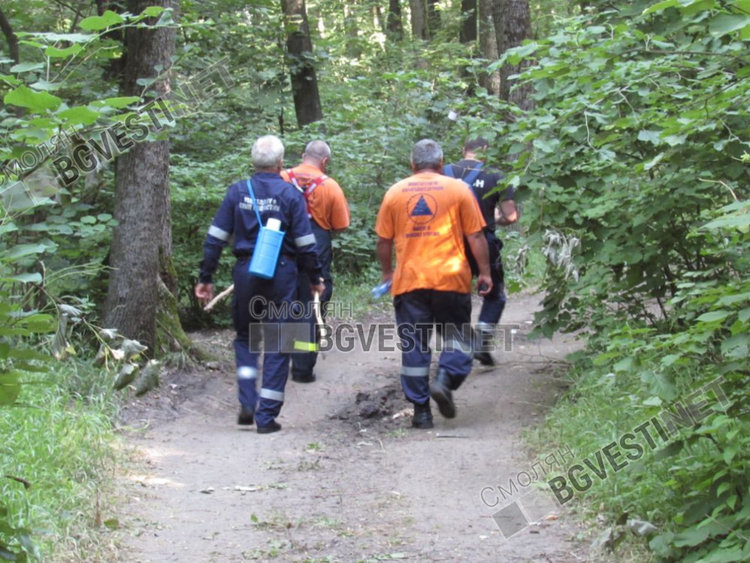 Издирваха 72-годишен мъж от Могилица, загубил се в гората