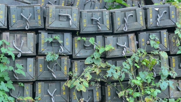 Изнасят боеприпасите от завода в Горни Лом