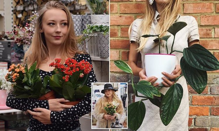 Новата Instagram мания - #plantporn
