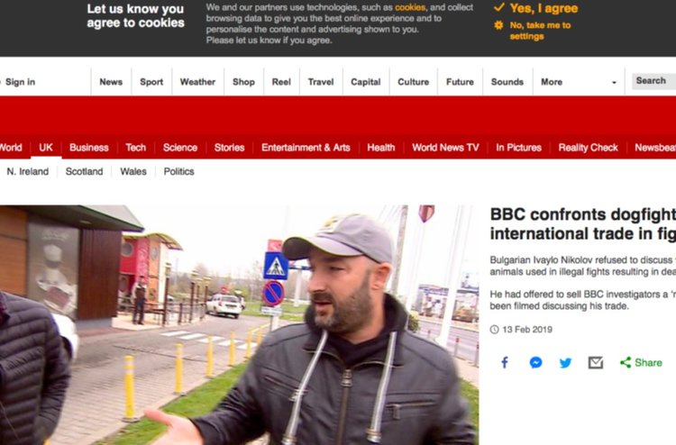 BBC разкри българи в международна мрежа за боеве с кучета (видео)