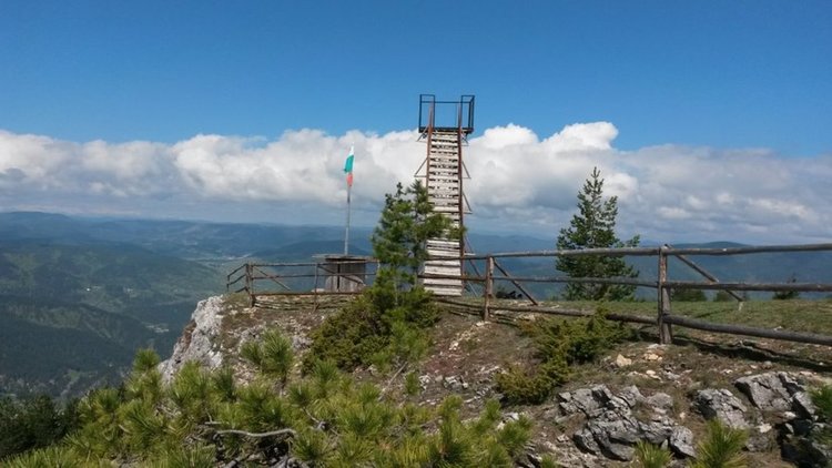 Училище в Девин събира средства за 14-годишния Джанер, който пострада тежко при офроуд обиколка с джип