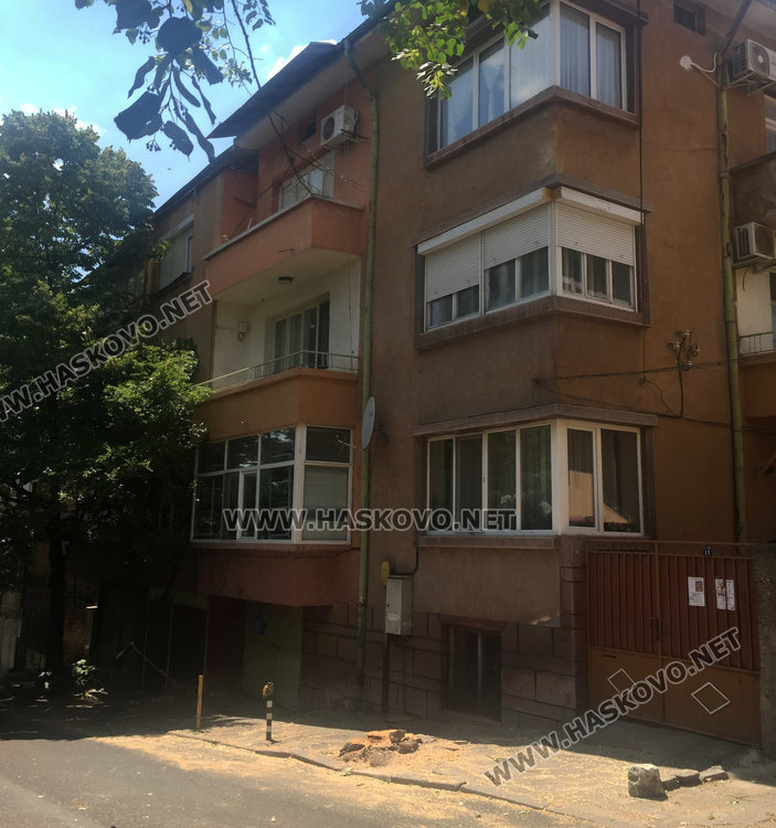 Отрязаха опасно дърво по спешност след обаждане на тел 112