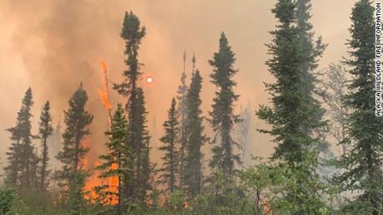 Невиждани пожари в Арктика