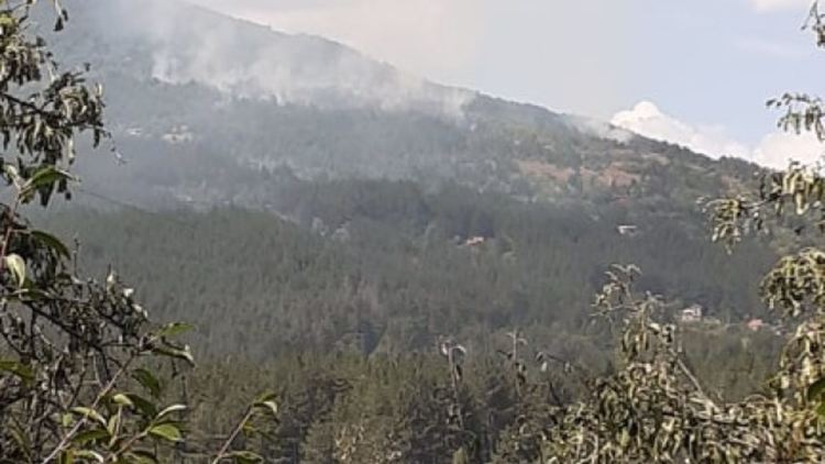 Отново пламна пожарът край Реброво, спешно се търсят доброволци