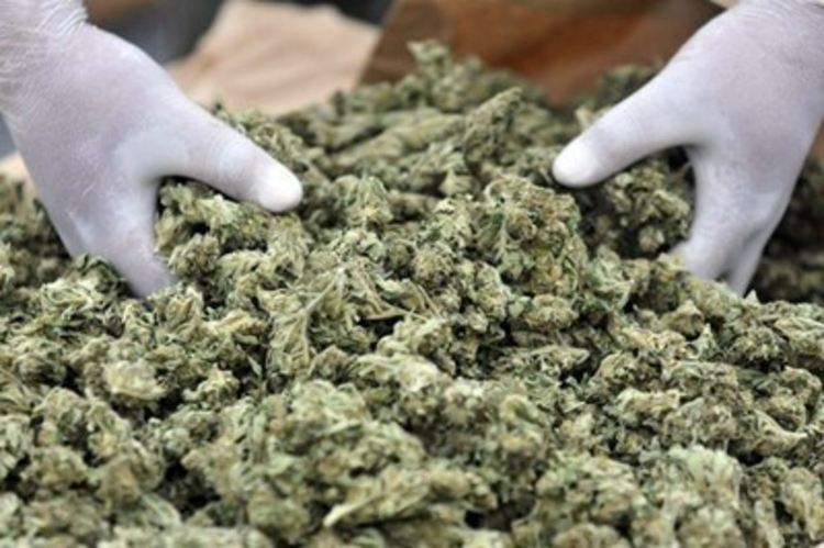 Задържаха мъж от Кърджали с разпределен на дози килограм марихуана