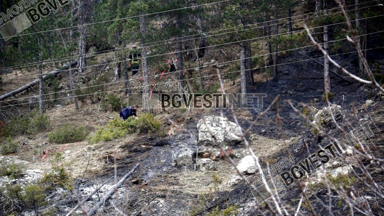 Възстановяват опожарени над 180 дк родопски гори с безвъзмездно финансиране от Фонд "Земеделие"