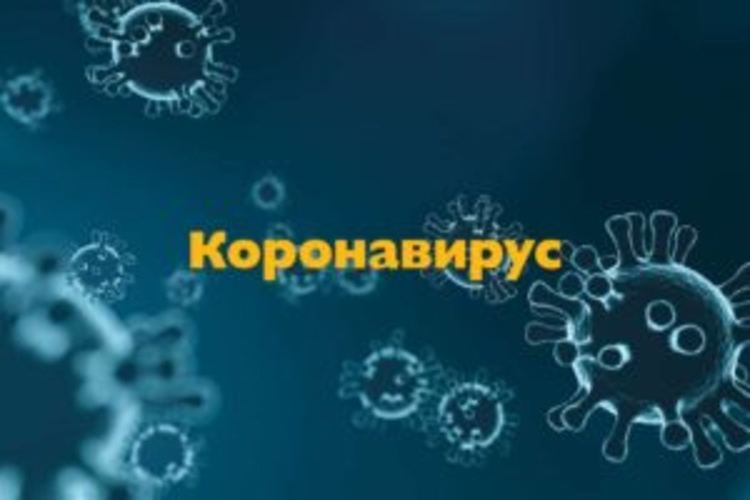 В Смолян чакат пробите за коронавирус на полицаи. Близо 240 в региона под карантина, 31 са контактни на тримата заразени