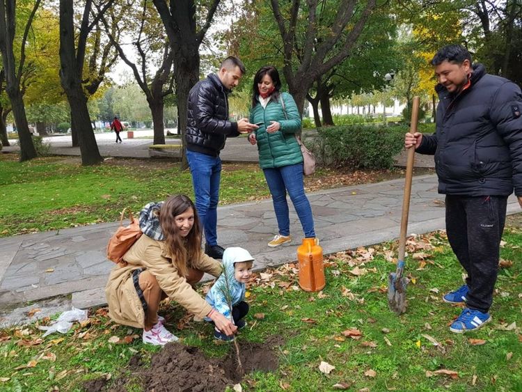 Дръвчета, осигурени от Гората.бг, бяха засадени в Първомай