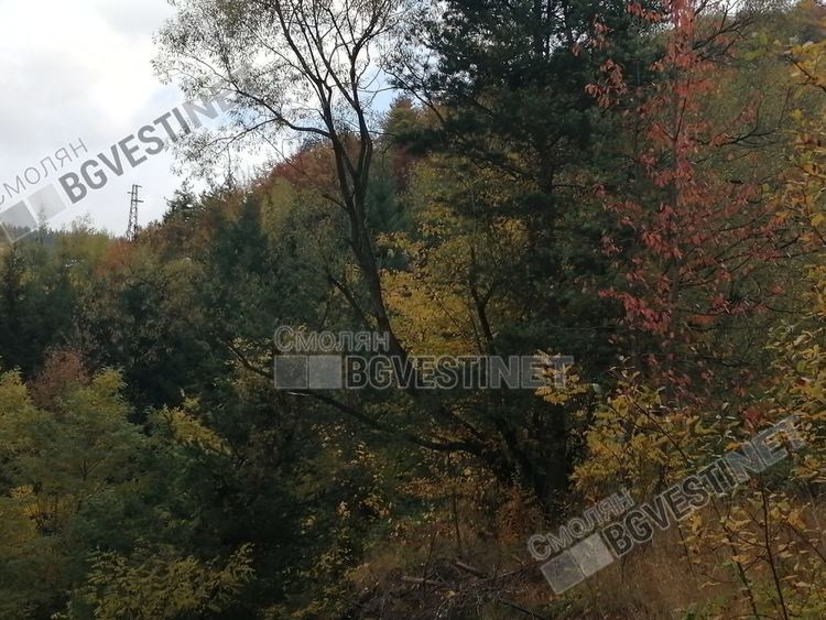 Облачна и мъглива сряда, на места с ръмежи