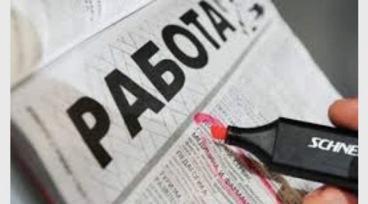 Едва 14 работни места са обявени в Бюрото по труда