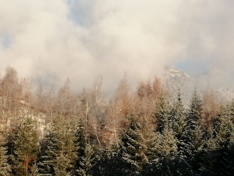 Облачно и с валежи от дъжд на 8 януари