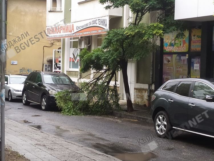 Жълт код за силен вятър в областта,в Кърджали-умерен
