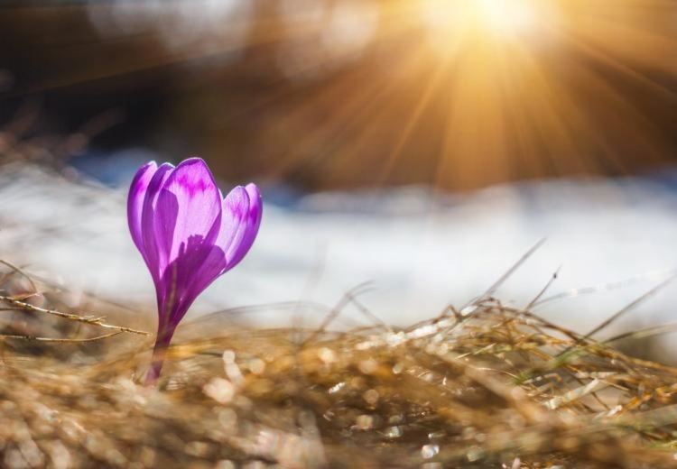 Затопляне до 12 градуса днес