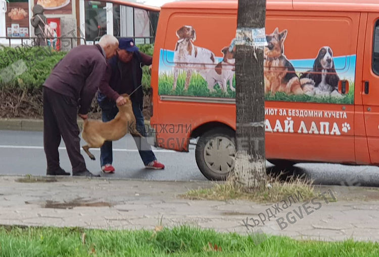 Колкото повече опознаваме хората, толкова повече обичаме животните