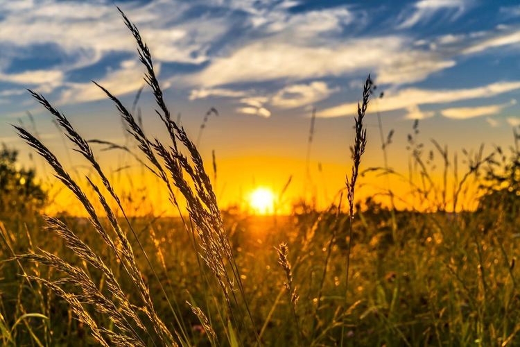 Жега до 32 градуса, ще превали и прегърми 