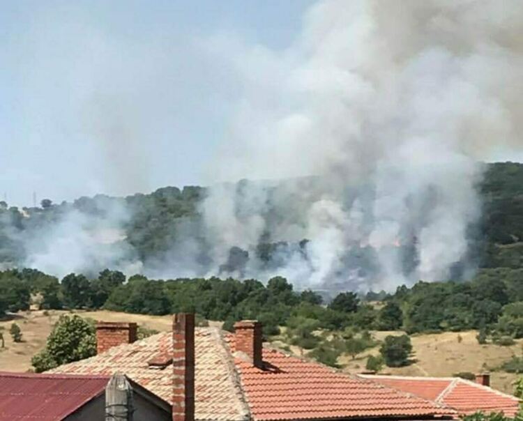Локализираха пожара край Свирачи и Орешино, включиха се и военните