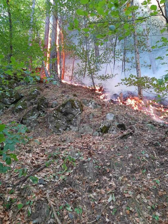 Кметът Грудев се срещна с кмета на Нареченски бани заради пожара над село Югово