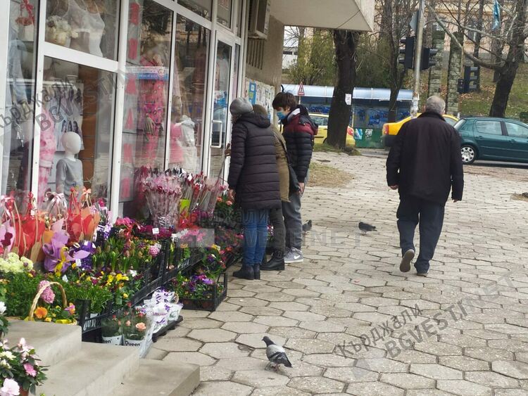 Хит за 8-март в Кърджали са цветята в саксии, цената им за последните месеци е скочила два пъти