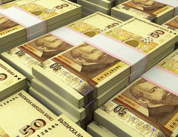 НАП проверява 8 фирми в Хасковско с над 100 000 лева в каса