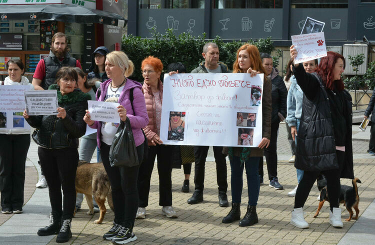 Десетки излязоха на протест срещу насилието над животни в Хасково