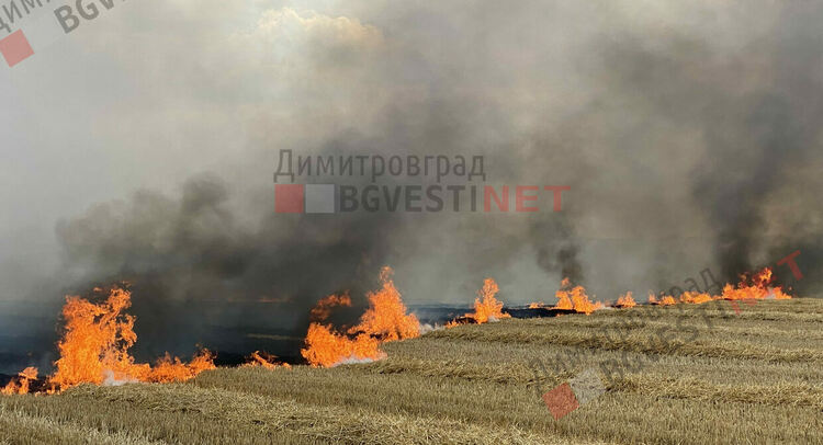 Буря предизвика серия от пожари и щети в Димитровградско