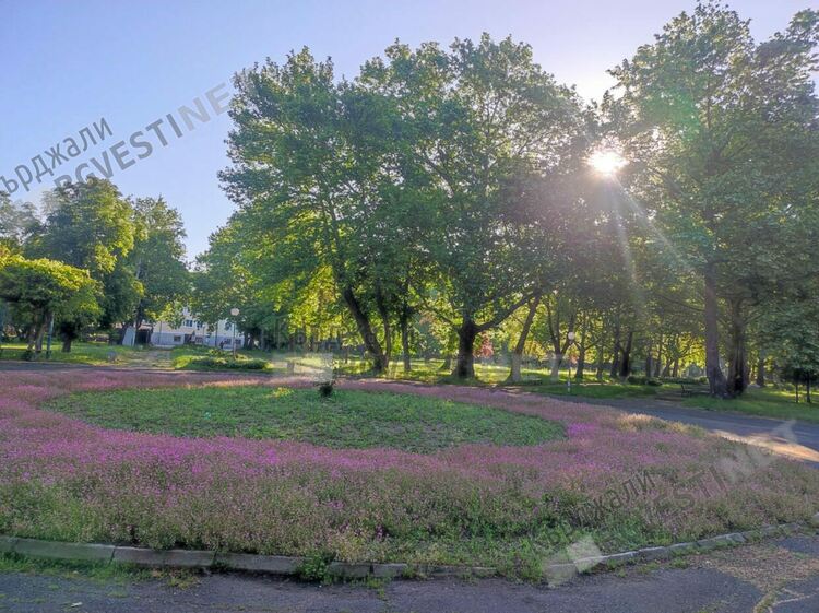 Слънчево със слаб вятър днес в Кърджали