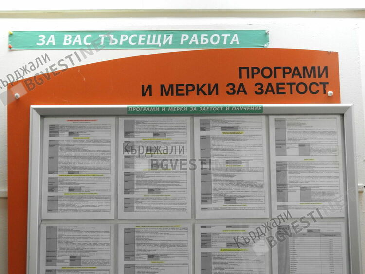 310 души са работили по проекти за заетост и обучение за месец в областта