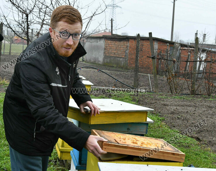 Пчеларите в Хасковско очакват добри добиви тази година
