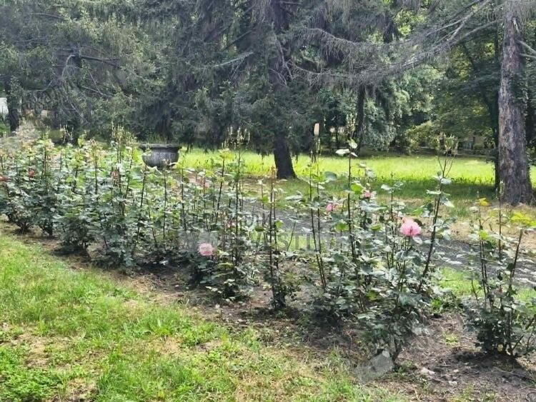 Променлива облачност днес над Кърджали,дъжд с гръмотевици